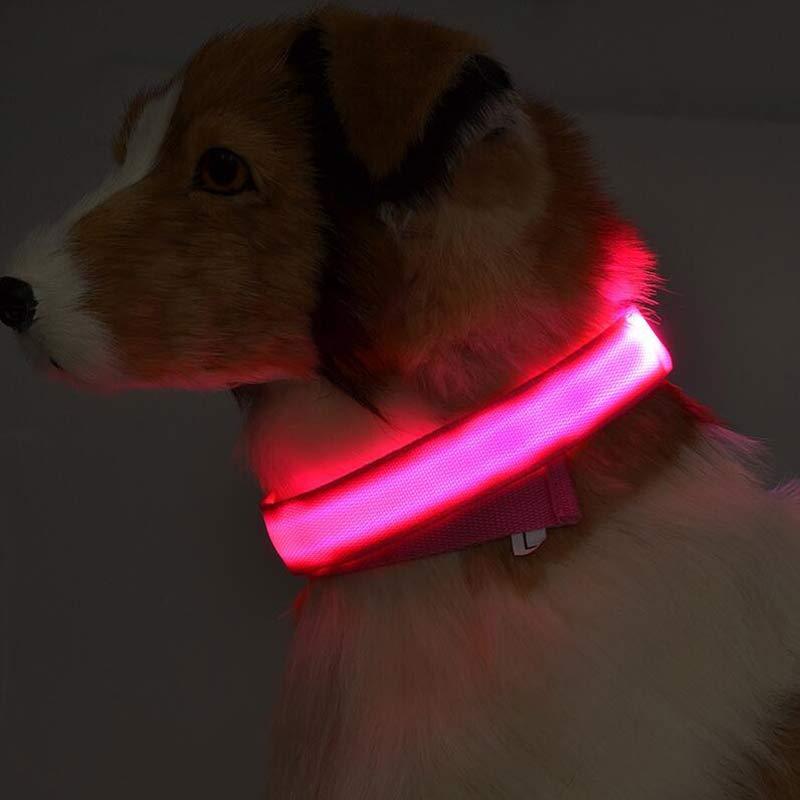 GlowUp™ LED Safety Collar for Dogs & Cats