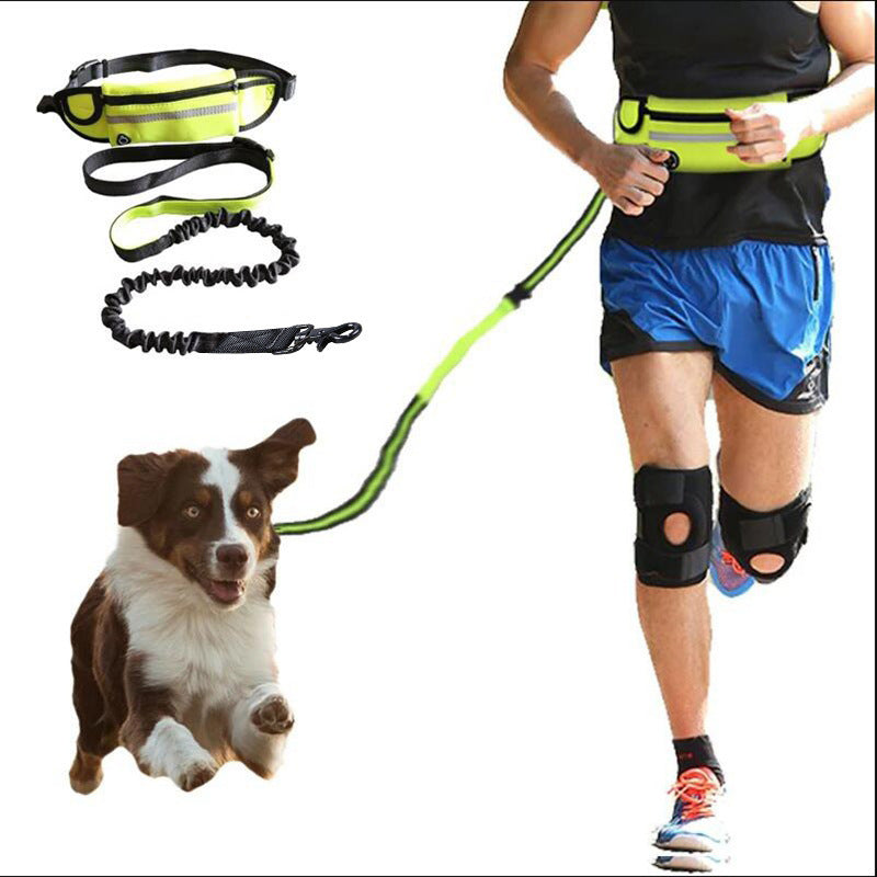 ActivePaw™ Hands-Free Dog Leash Bel